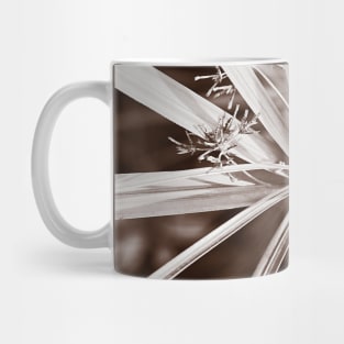 ‘Fond Point’ - palm close-up in sepia Mug